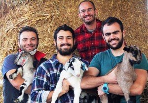 The offspring of your flock