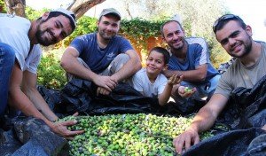 Joy of the harvest (Isaiah 9)