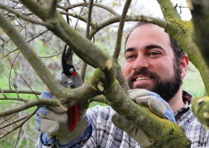 Pruning away that which does not produce fruit (John 15)