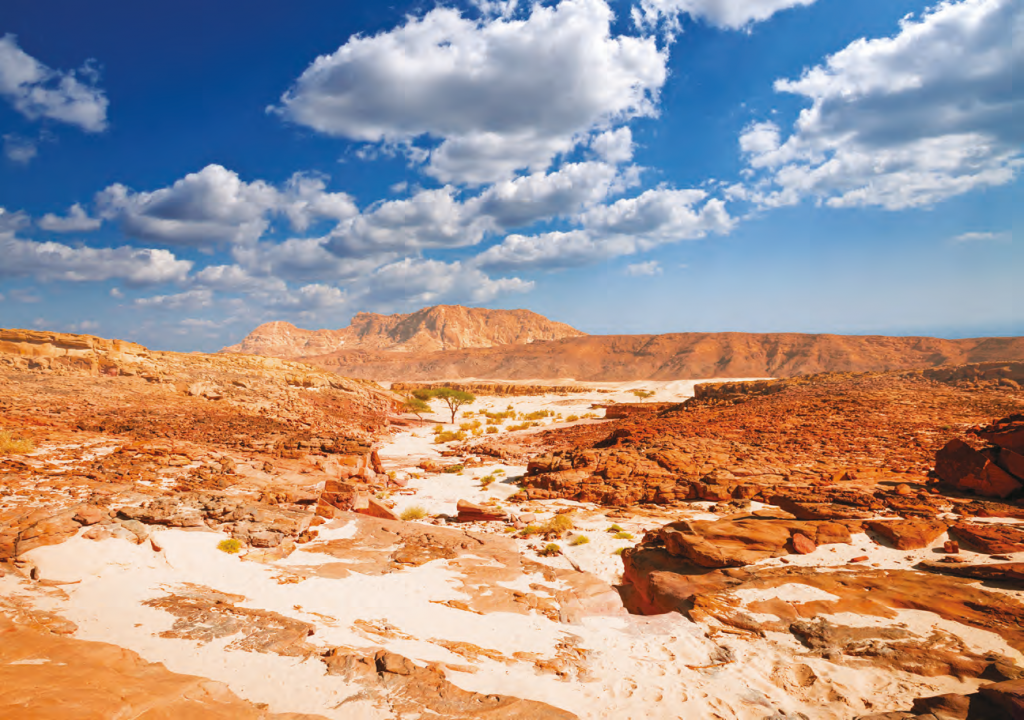desert