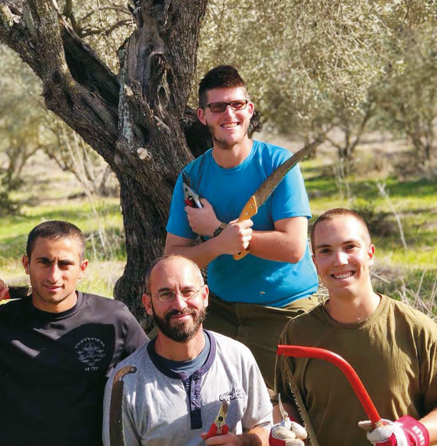 Olive Tree Ranch